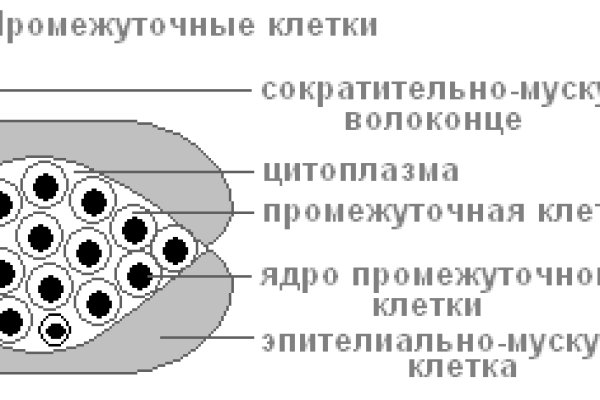 Кракен at сегодня работает ли